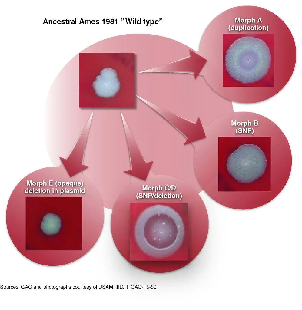 How Scientists Cracked the Code of LUCA's Genome (Image Credits: Flickr)