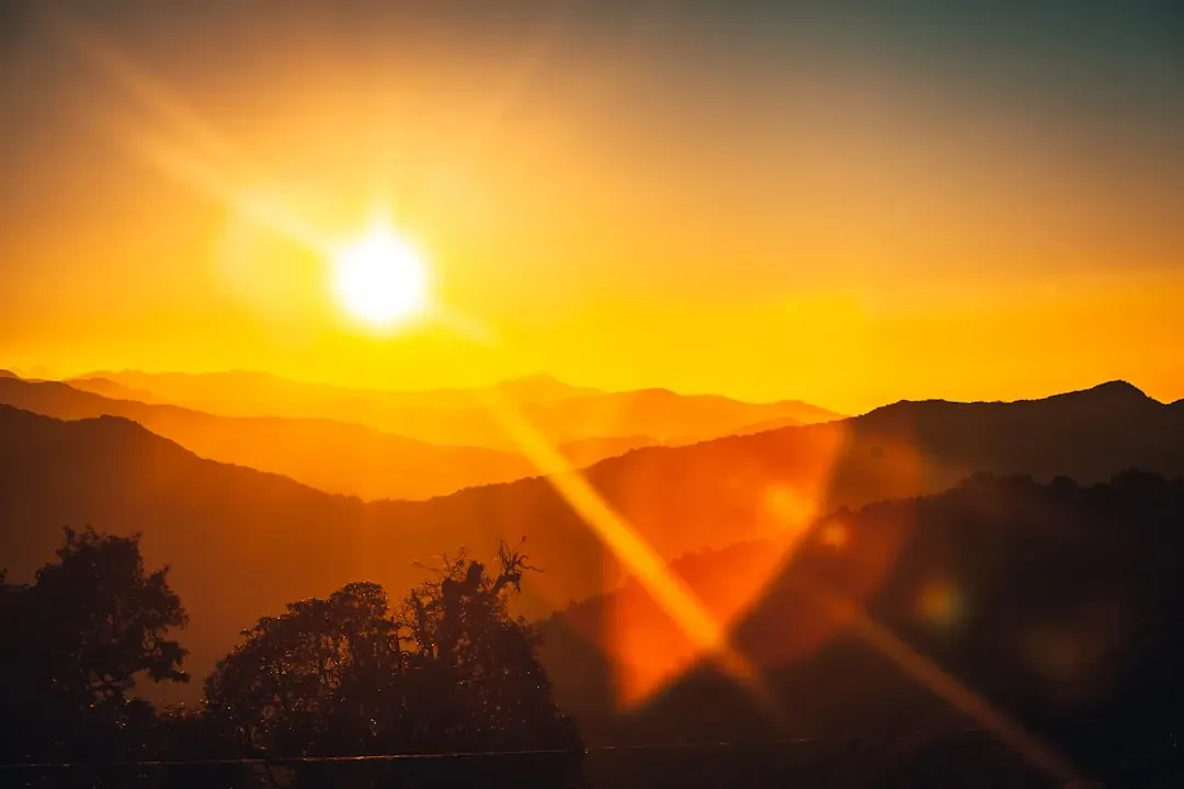 Light and Life: How Sunlight Governs Your Body and Mood (Image Credits: Unsplash)