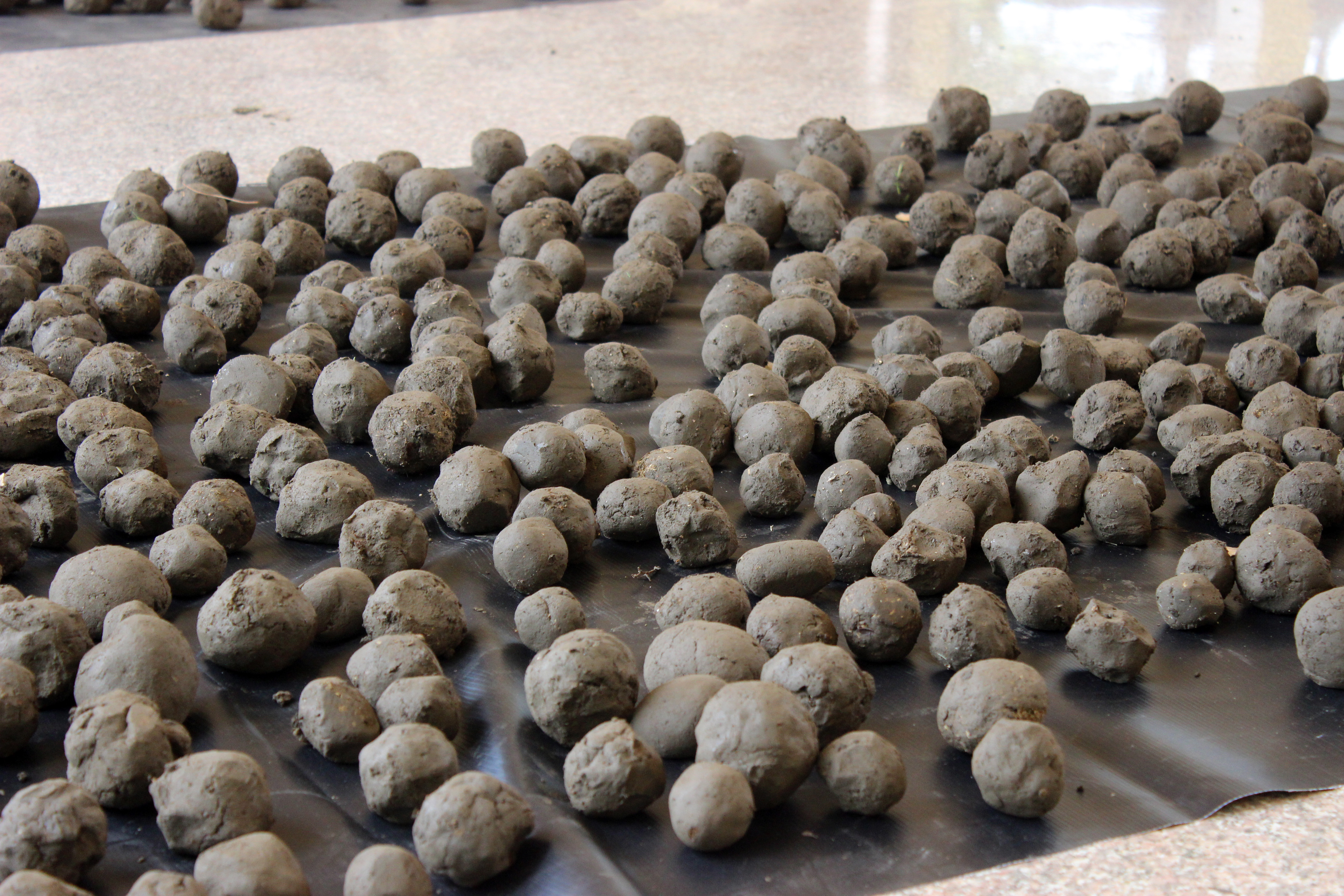 Hardened Mud Formations in Modern Times (Image Credits: Wikimedia)