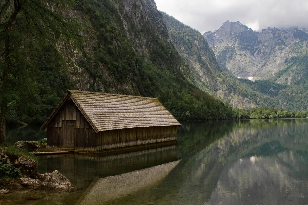 Pisces: The Mystic in the Misty Woods (Image Credits: Pixabay)