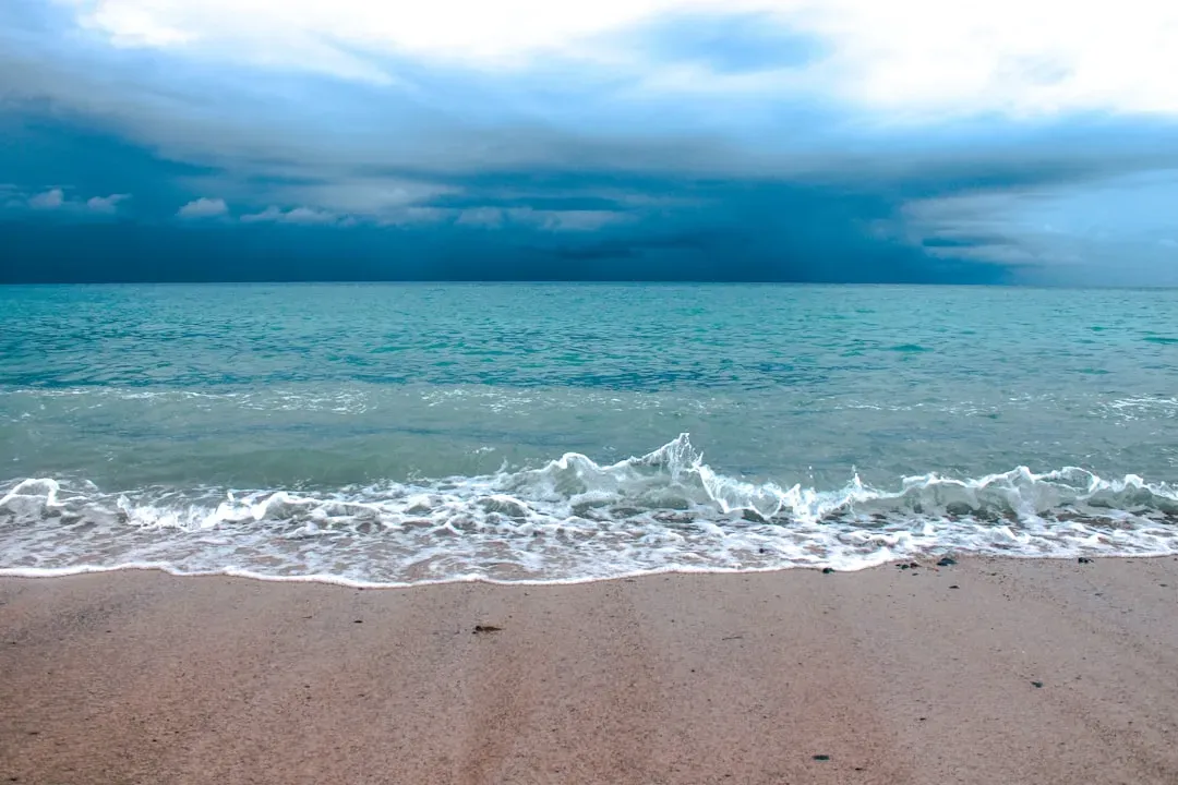 Conclusion: A World Where the Shoreline Never Sleeps (Image Credits: Unsplash)