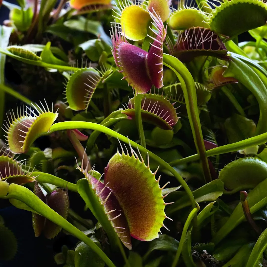 Conclusion (Image Credits: Unsplash)