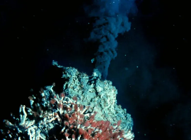 Hydrothermal Vents Support Ecosystems Without Sunlight (Image Credits: Flickr)