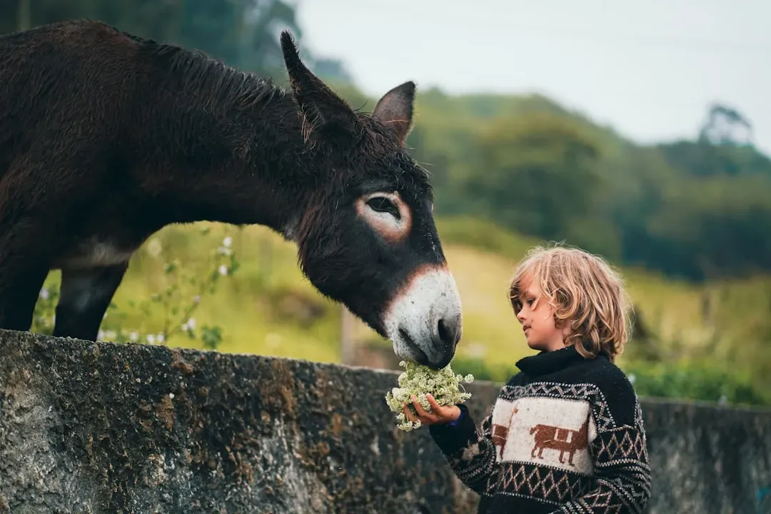How Kindness To Animals Shapes Who We Become (Image Credits: Unsplash)