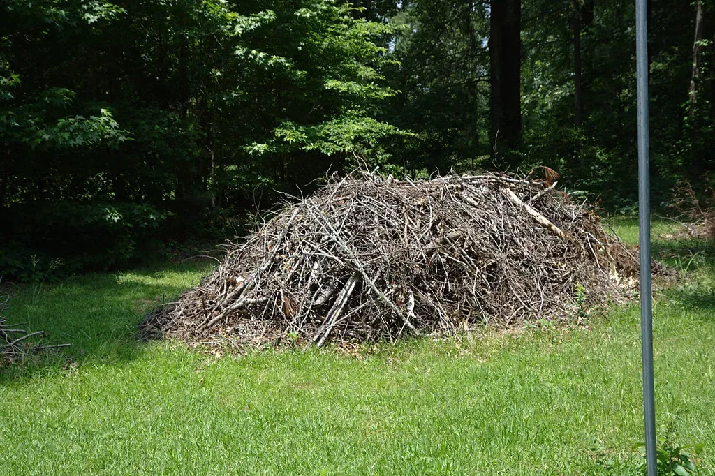 What Archaeologists Think About Stick Piles (Image Credits: Flickr)