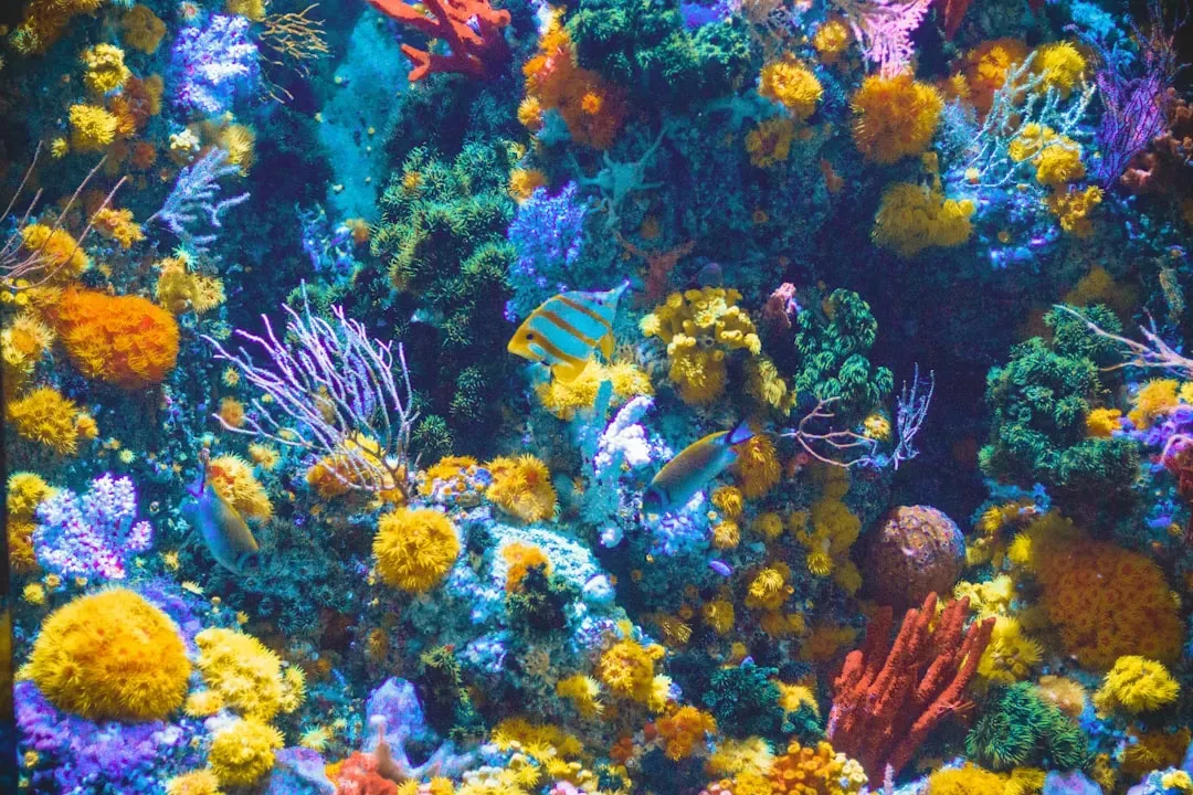 7. Coral Reefs: Living Construction on an Oceanic Scale (Image Credits: Unsplash)