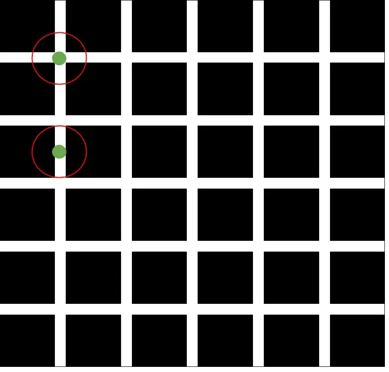 The Hermann Grid: Phantom Spots That Dance in the Corners (Image Credits: Wikimedia)