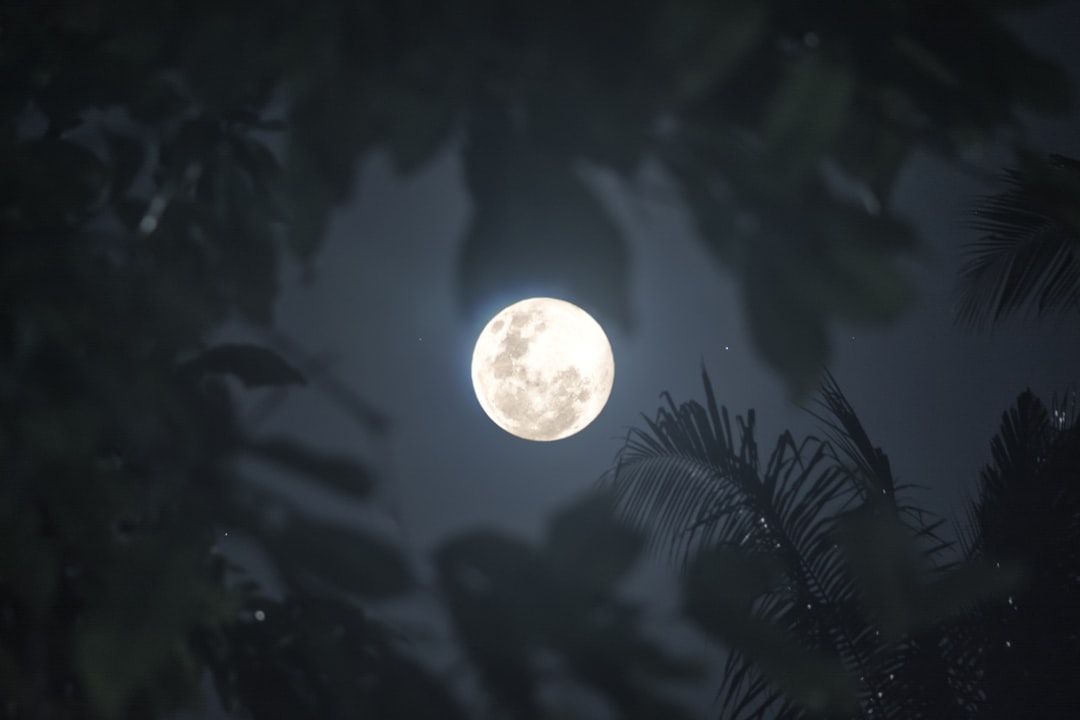 The Future Landscape (Image Credits: Unsplash)
