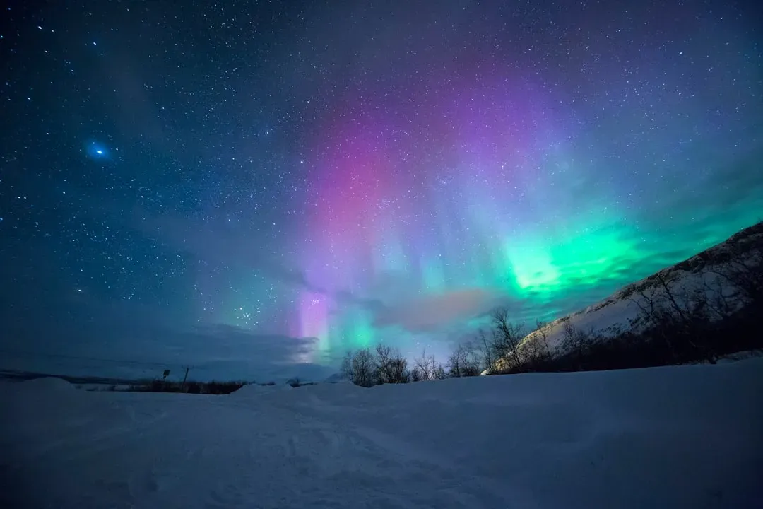 Why Auroras Cluster Around the Poles (Image Credits: Unsplash)