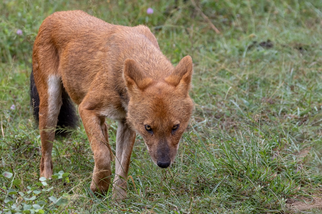 The Future Landscape (Image Credits: Unsplash)