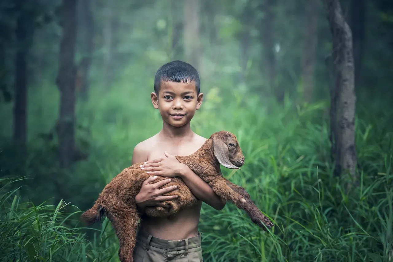 Conclusion: Your Childhood Landscape Still Lives in Your Mind (Image Credits: Pixabay)