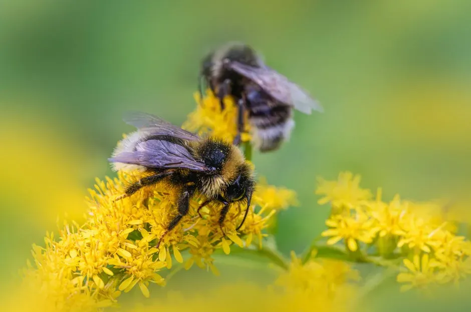 Birds, Bees, and Bugs: Rethinking the Small Minds Among Us (Image Credits: Pexels)
