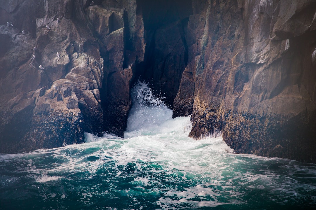 Sculpted by Gravity: The Making of a Submarine Canyon (Image Credits: Unsplash)