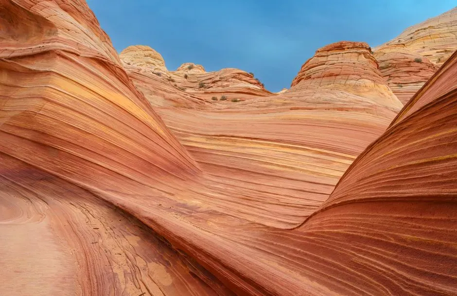 Conclusion: When Nature Looks Like Design (Image Credits: Pexels)
