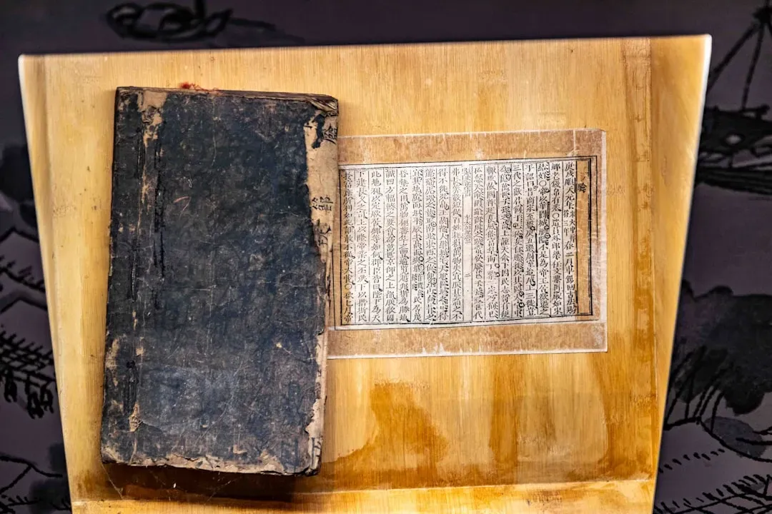 Paper and Early Books: The Technology of Cheap, Portable Knowledge (Image Credits: Unsplash)