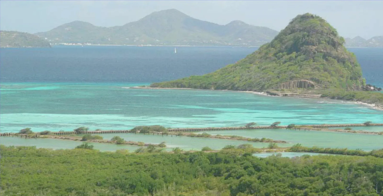 How You Can Help: Small Actions, Big Ripples (Image Credits: Wikimedia)