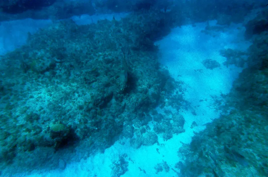 Conclusion: The Final Frontier Beneath the Waves (Image Credits: Flickr)