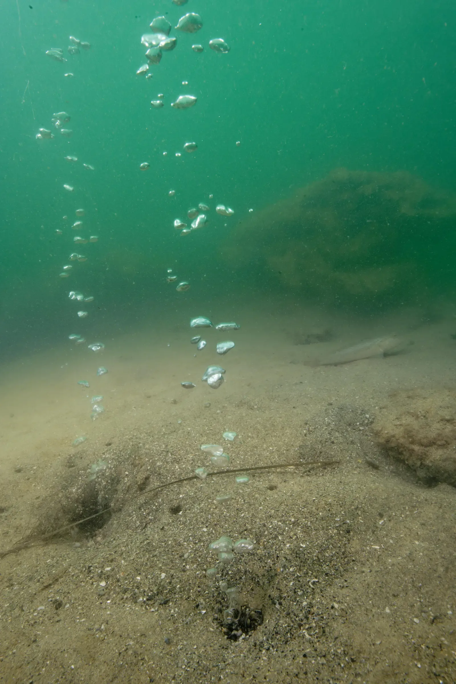 The Hidden Clues: Bubbles, Plumes, and Planetary-Scale Warnings (Image Credits: Wikimedia)