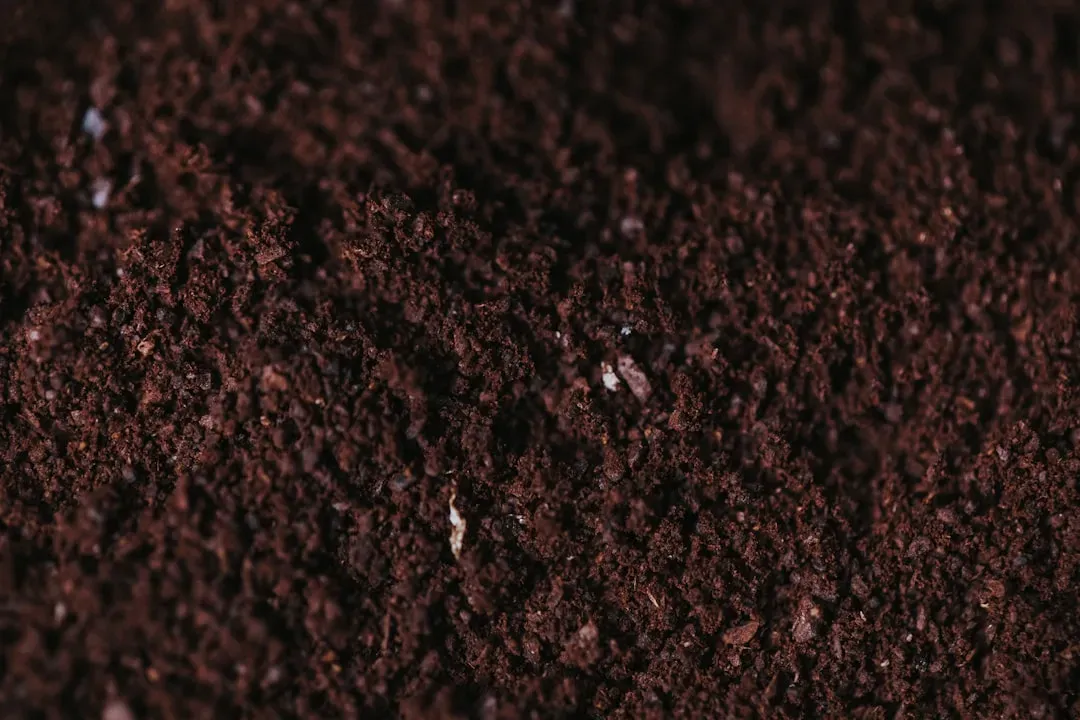 #3 - Sodium Buildup Silently Poisons Soil Structure (Image Credits: Unsplash)