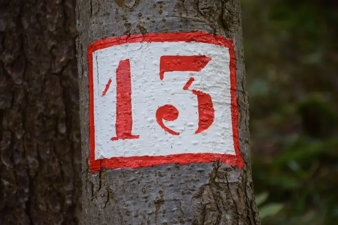 The Number 13 and the Fear That Won’t Go Away (Image Credits: Unsplash)