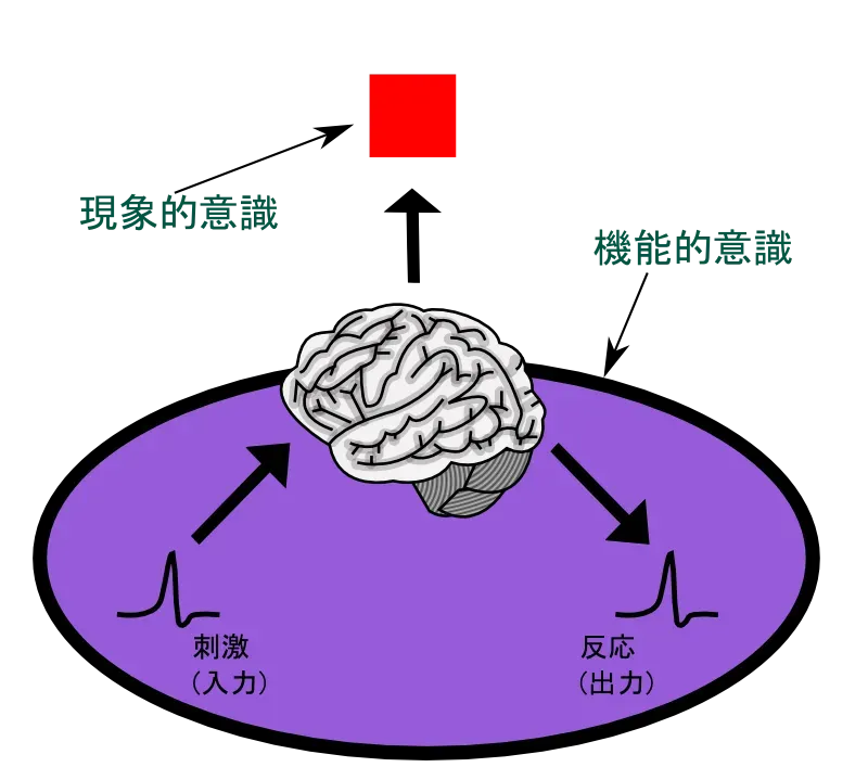 Consciousness: The Most Puzzling “How” of All (Image Credits: Wikimedia)