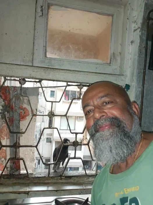 Social Memory: The Hidden Engine Behind Crow–Human Bonds (By Rudolph.A.furtado, CC BY 4.0)