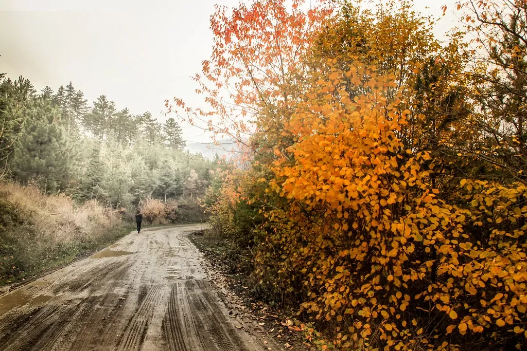 The Planet’s Pulse: Seasons and Our Emotional Tides (s_gulfidan, Flickr, CC BY 2.0)