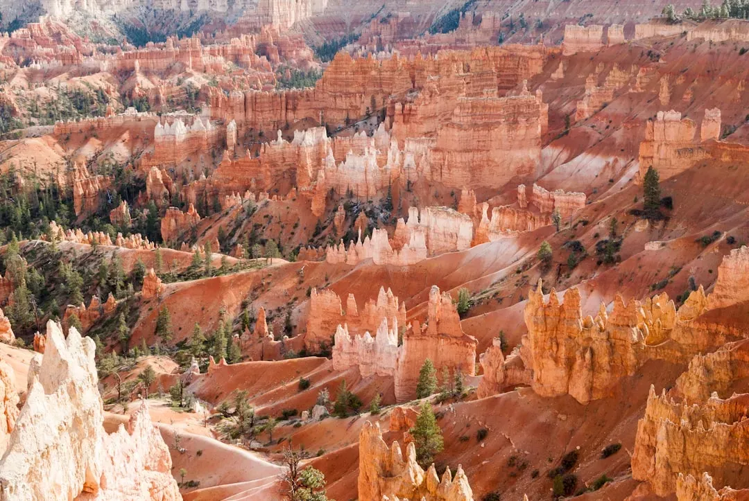 5. Bryce Canyon, USA: A Forest of Stone Spires (Image Credits: Unsplash)