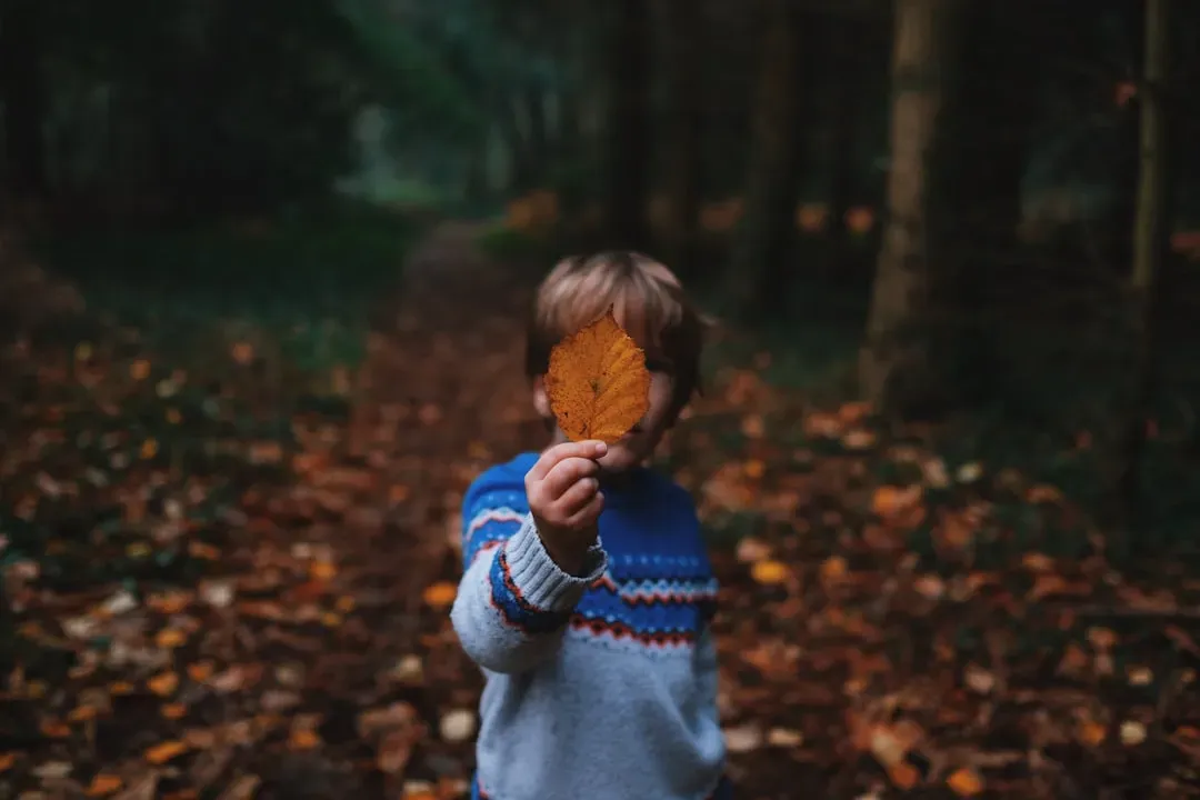 The Surprising Way Nature Shapes a Child’s Attention (Image Credits: Unsplash)
