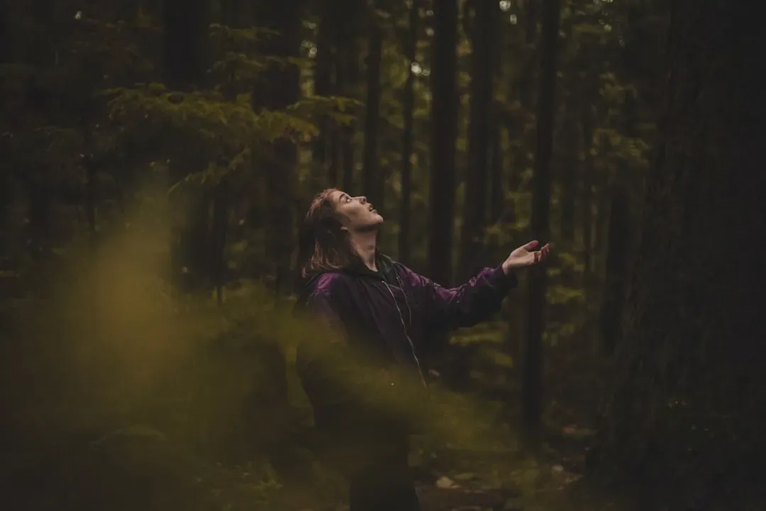 The Stories and Myths You Carry Into the Trees (Image Credits: Unsplash)