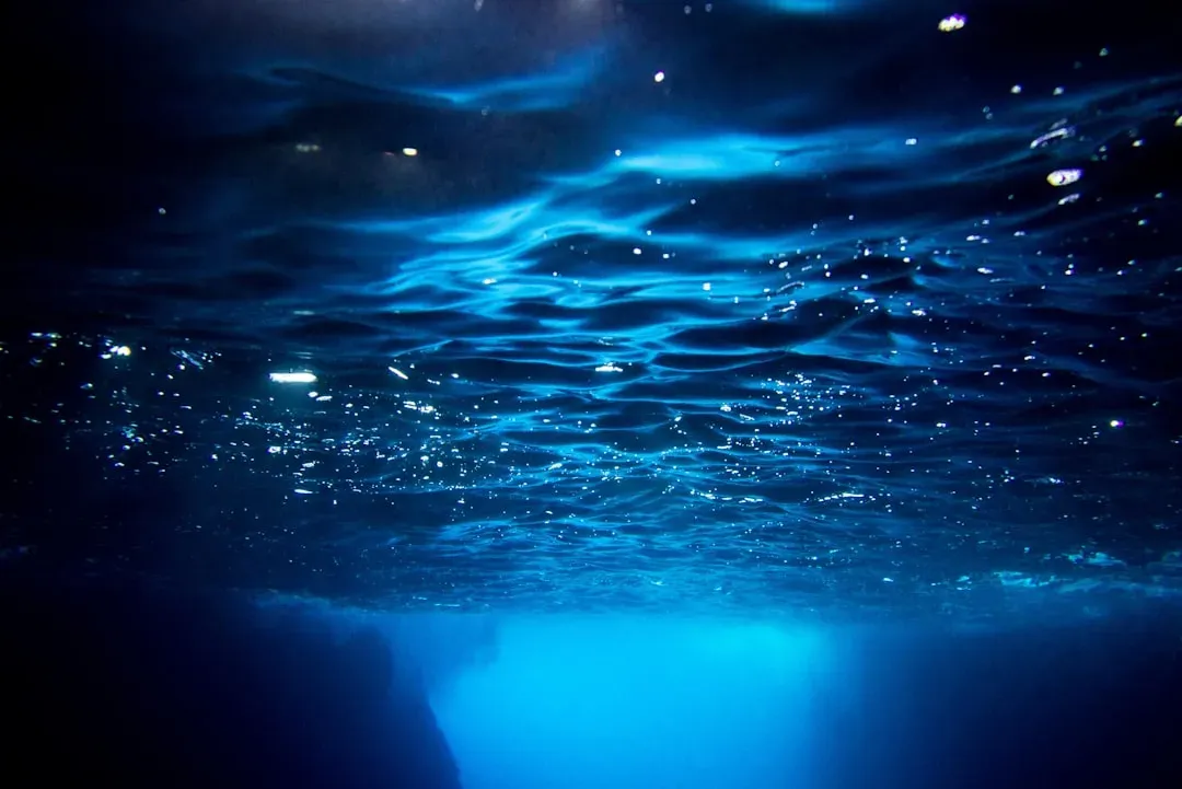 The Pacific’s Deep Time Capsule and What It Stores (Image Credits: Unsplash)