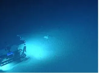 #6 Undrilled Deep Ocean and Sub‑Seafloor Chambers (By NOAA Office of Ocean Exploration and Research, Océano Profundo 2015: Exploring Puerto Rico’s Seamounts, Trenches, and Troughs, Public domain)