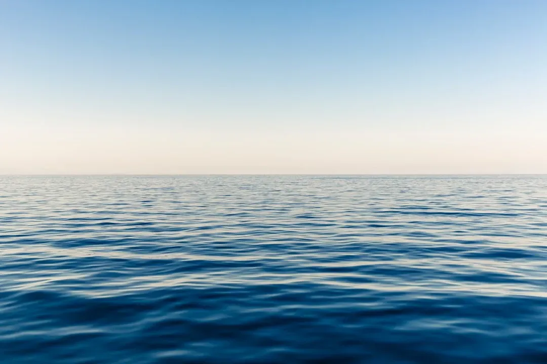 Conclusion: Sharing a Planet With a Thousand‑Year Sea (Image Credits: Unsplash)