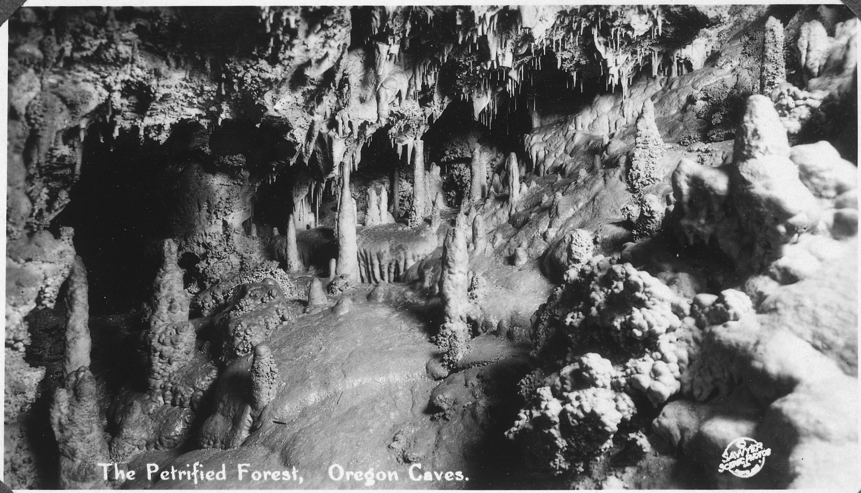 Beneath the Visitor Path (Image Credits: Wikimedia)