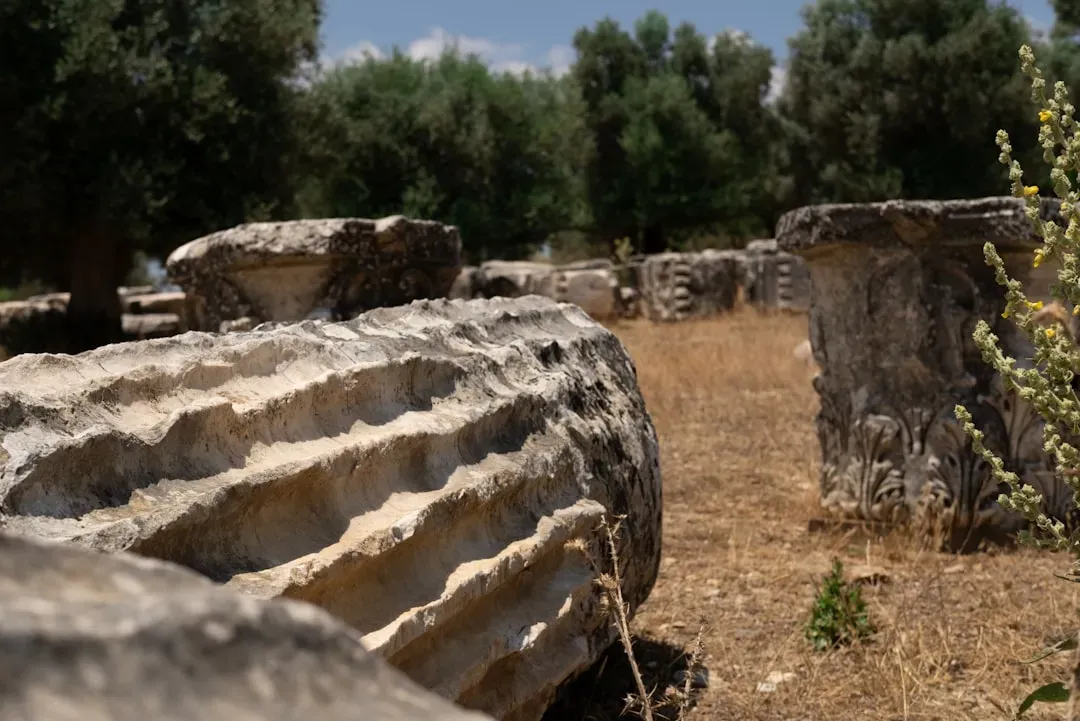 Mysterious Geoglyphs and Massive Earthworks (Image Credits: Unsplash)