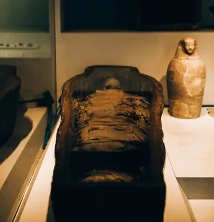 #1 - The "Cursed" Mummy That Stopped Drawing Crowds (Image Credits: Pexels)