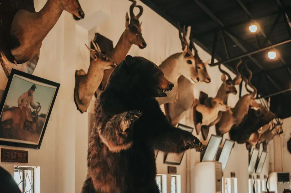 #20 - The Taxidermy Predator Preserved With Banned Chemicals (Image Credits: Pexels)