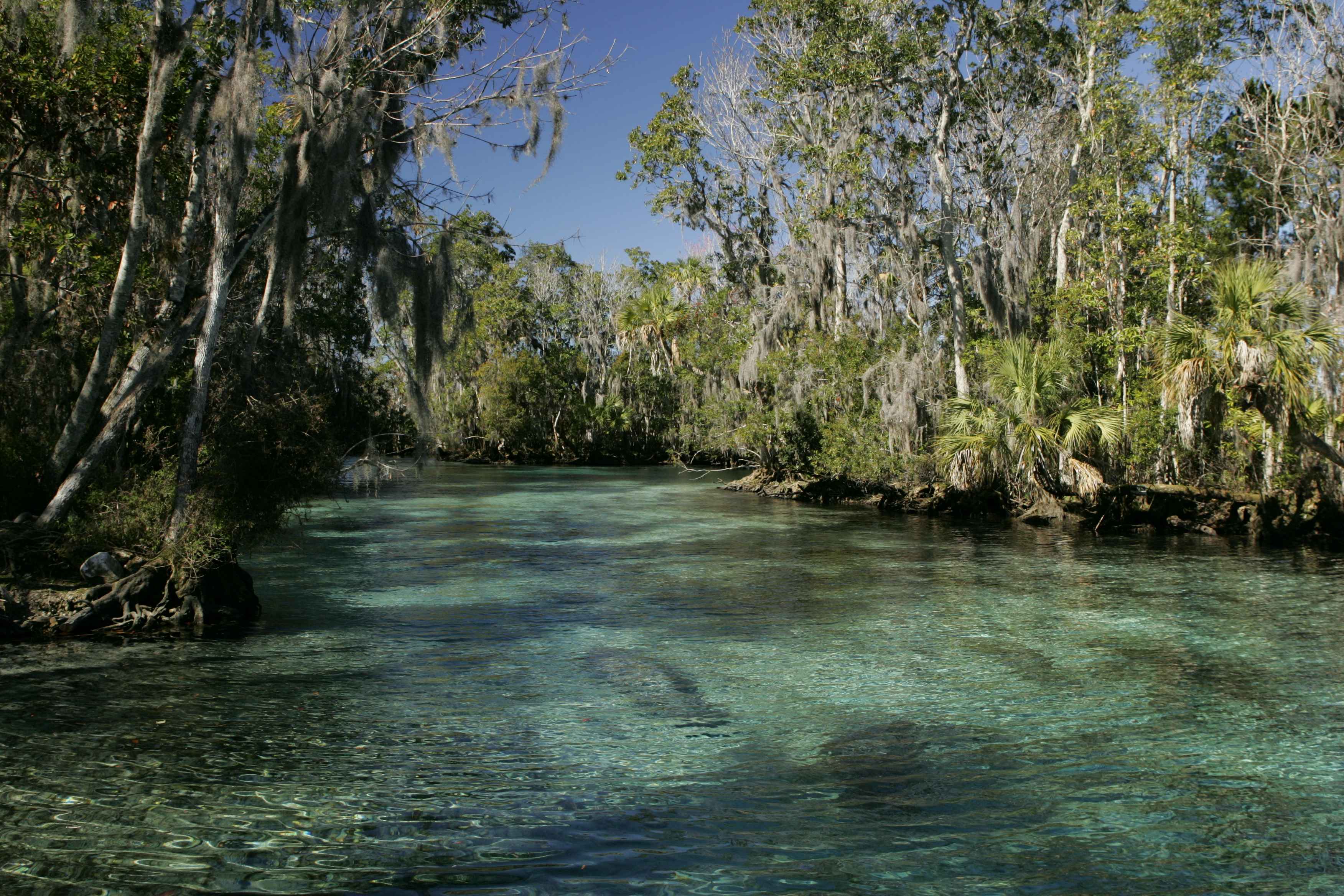 Estero Bay, Florida (Image Credits: Wikimedia)