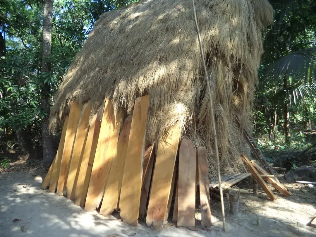 8. The Nukak: A Cautionary Tale of Contact (Image Credits: Unsplash)