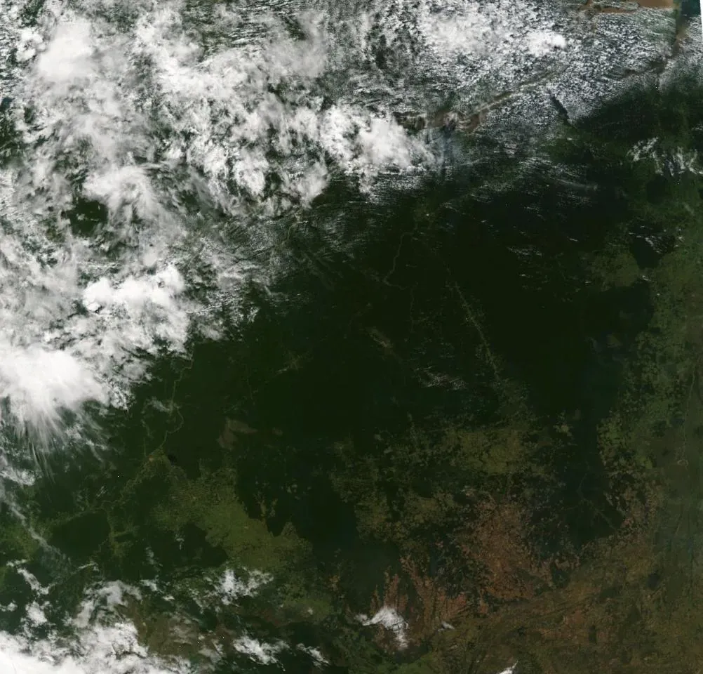 #6 - The Buried Cities of the Amazon (Satellite imagery taken from NASA World Wind software (by screenshot), Public domain)