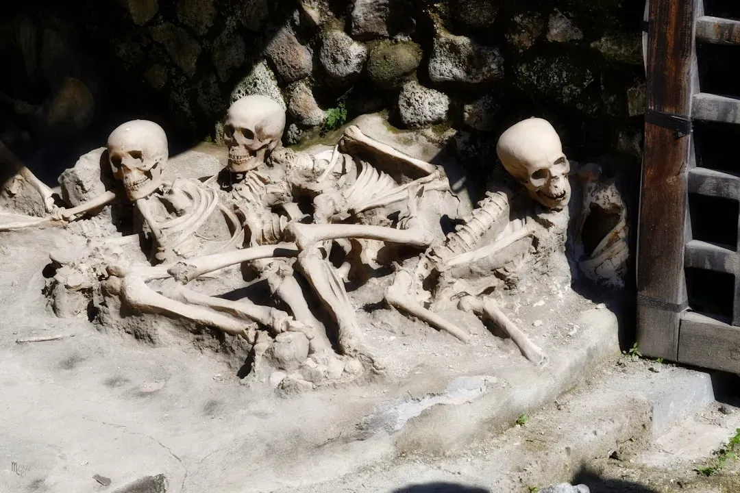 4. Dismembered Vikings in an English Chalk Pit (Image Credits: Unsplash)