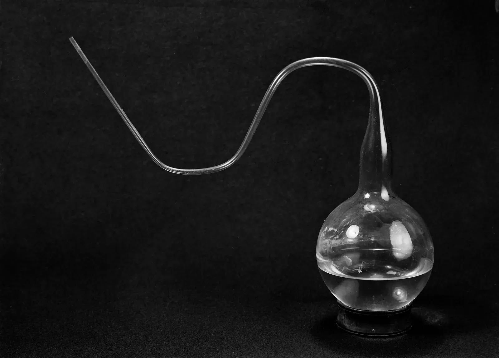 Pasteur's Swan Neck Flask: Death to Spontaneous Generation (Image Credits: Wikimedia)
