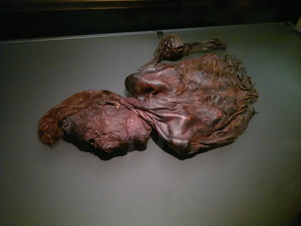 The Shocking Bog Body Offerings of Northern Europe (markhealey, Flickr, CC BY-SA 2.0)