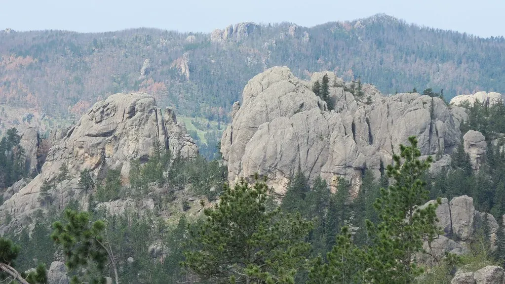 Black Hills and Ancient Gneisses, South Dakota–Wyoming: Glimpses of Earth’s Early Crust (travelinknu, Flickr, CC BY-SA 2.0)