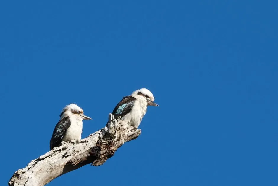 Opinionated Conclusion: The Chorus Is Smarter Than We Give It Credit For (Image Credits: Pexels)