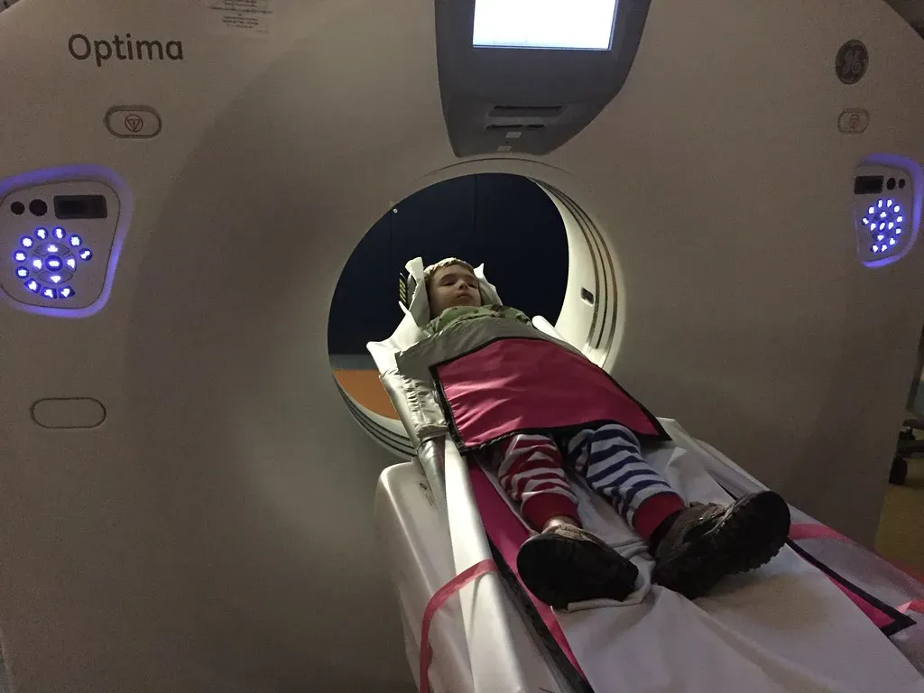 Brain Emulation: Copying Hardware to Recreate the Software (juhansonin, Flickr, CC BY 2.0)