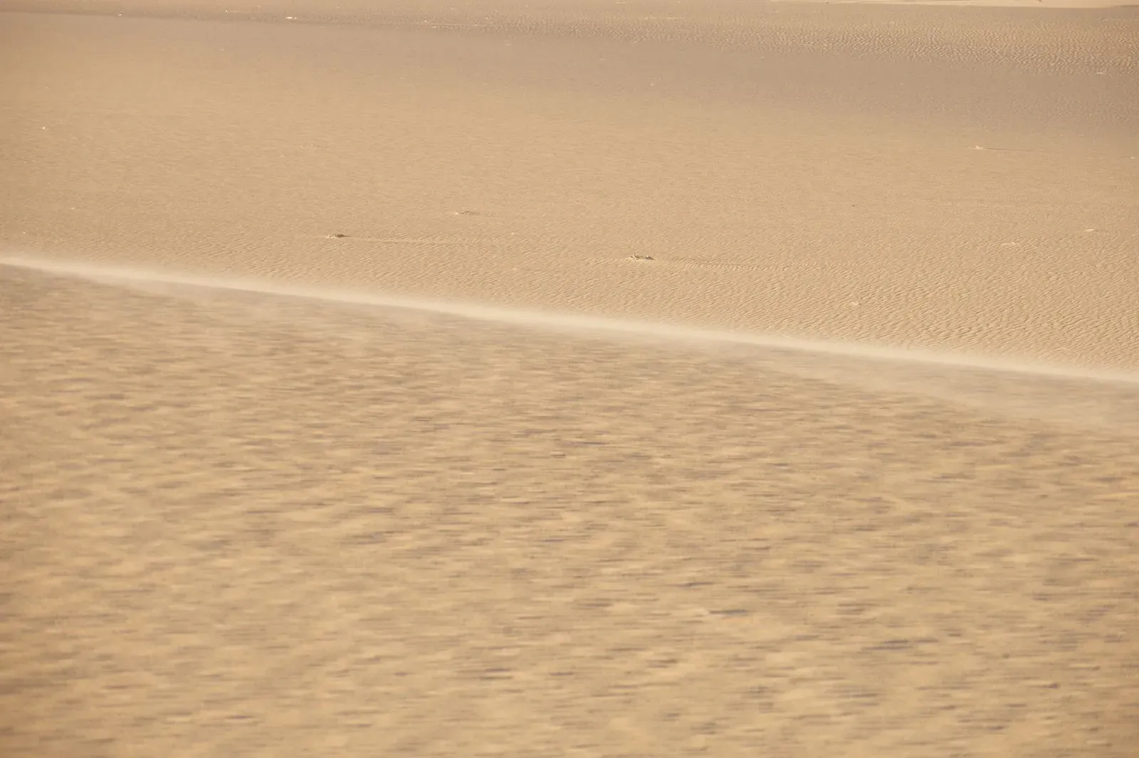 #11 - The Vanished City of Zerzura in the Sahara (Sahara desert (2007-05-247), CC BY 2.0)