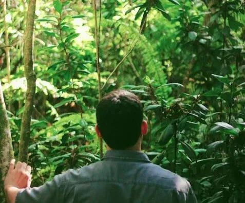 What You Can Actually Do: Real Leverage in a Global Problem (Image Credits: Pexels)