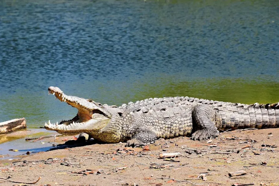 The Crocodile: A Survivor of the Dinosaur Age (Image Credits: Pexels)