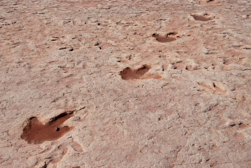 How You Read Speed, Size, and Stride from Stone (NH53, Flickr, CC BY 2.0)